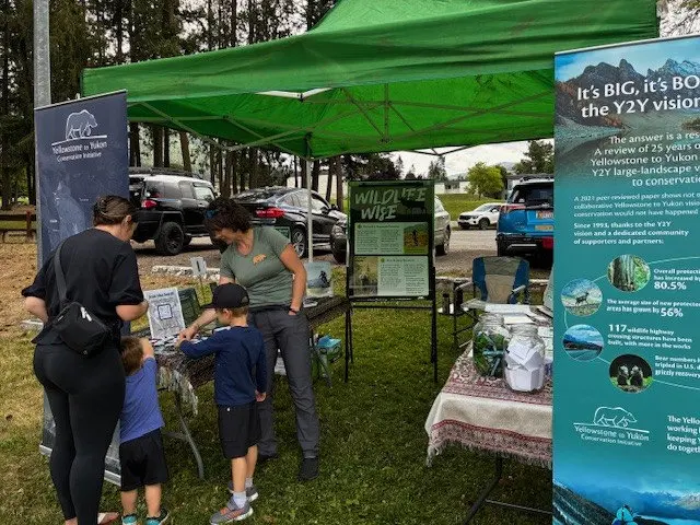 The Bear Fair Is Back — April 25, Centennial Park