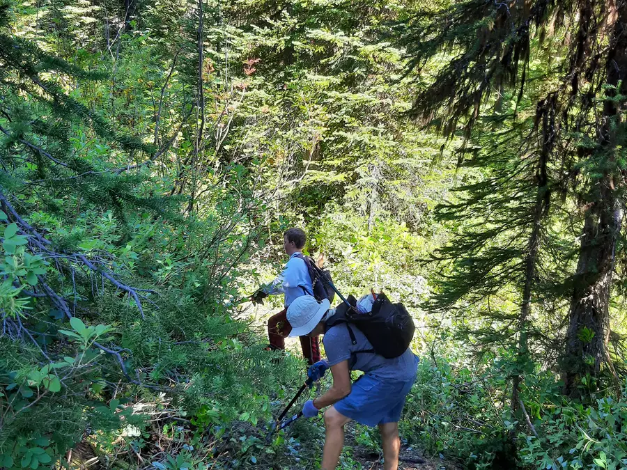Sanca Creek photo 1