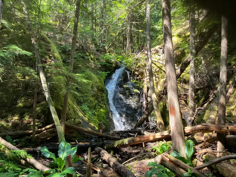Williams Creek Falls photo 1