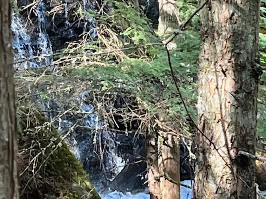 Williams Creek Falls photo 11