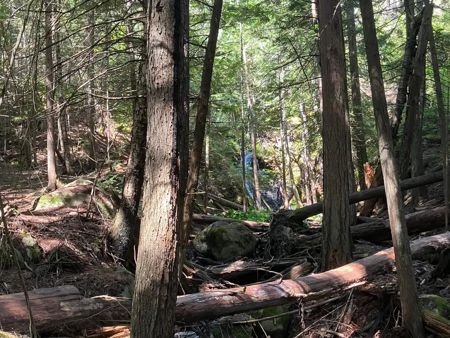 Williams Creek Falls photo 2