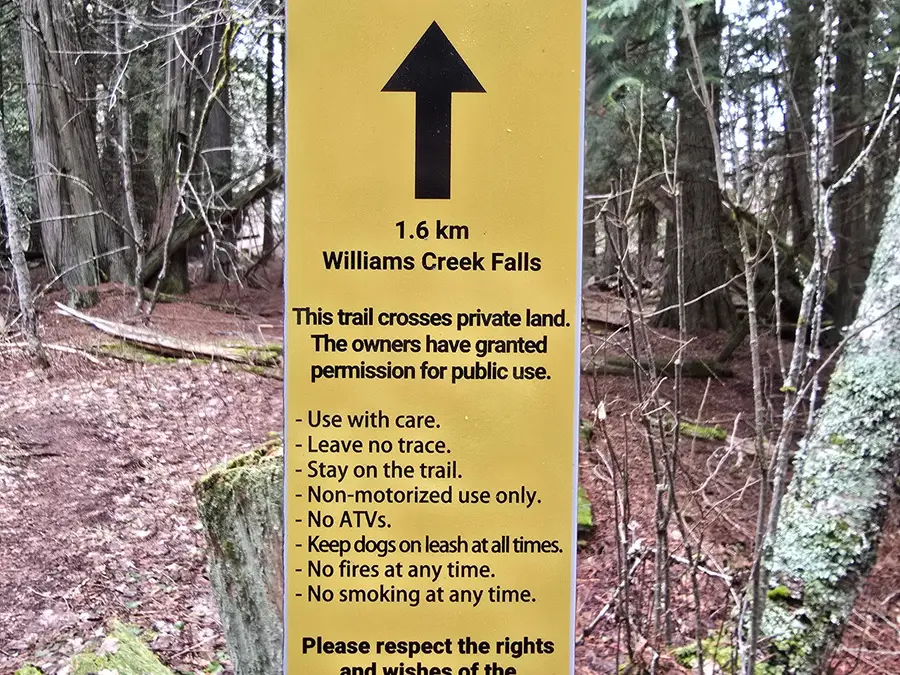 Williams Creek Falls photo 4