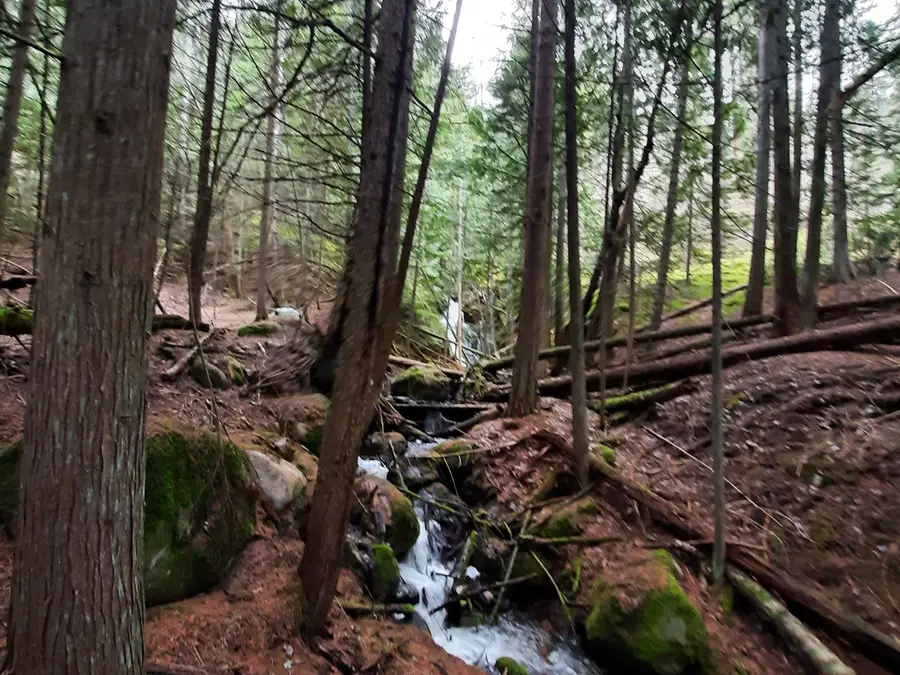 Williams Creek Falls photo 6